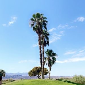 Meet your Posher, Gen